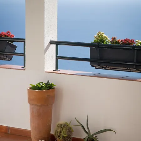 Apartment Murteiras Living *