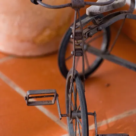 Murteiras Living Funchal (Madeira)