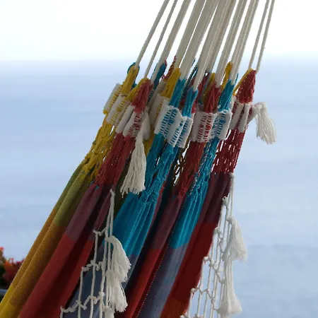 Appartement Murteiras Living